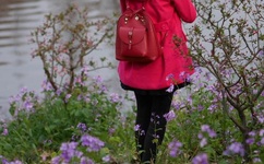 美国疯狂做人爱视频